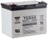 Yuasa 12V M5 Sealed Lead Acid Battery, 36Ah