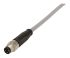 HARTING Straight Male 3 way M8 to Unterminated Sensor Actuator Cable, 5m