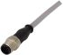 HARTING Straight Female M12 to Straight Male M12 Sensor Actuator Cable, 8 Core, Polyurethane PUR, 1m