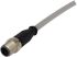 HARTING Male M12 to Free End Sensor Actuator Cable, 12 Core, Polyurethane PUR, 1m