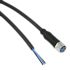 TE Connectivity Straight Female M8 to Free End Sensor Actuator Cable, 3 Core, PUR, 1.5m