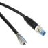 TE Connectivity Straight Male 3 way M8 to Unterminated Sensor Actuator Cable, 1.5m