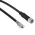 TE Connectivity Straight Female 3 way M8 to Unterminated Sensor Actuator Cable, 1.5m
