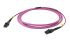 Rosenberger LC to LC Duplex Multi Mode OM4 Fibre Optic Cable, 50/125μm, Violet, 1m