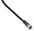 Brad from Molex 120027 Straight Female M8 to Free End Sensor Actuator Cable, 3 Core, PVC, 2m