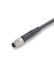 binder Érzékelő-működtető kábel, M5 - Szereletlen - 3 érintkező, 60 V, 1 A, 2m