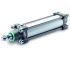 Norgren Dobbeltvirkende cylinder RA-serien, Slaglængde: 80mm, Boring: 100mm, Dobbeltvirkende