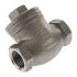 RS PRO Stainless Steel Single Check Valve, BSP 2in, 14 bar