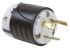 PASS & SEYMOUR USA Mains Plug, 30A, Cable Mount, 125 V