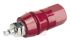 Mueller Electric 15A, Red Binding Post With Brass Contacts and Nickel Plated