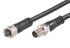 Brad from Molex Straight Female 3 way M8 to Straight Male 3 way M8 Sensor Actuator Cable, 1m