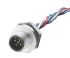 Brad from Molex 120011 Straight Female M12 to Free End Sensor Actuator Cable, 300mm