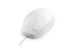 Ceratech MOU-MED-VALUE-UB 5 Button Wired Mouse White