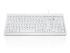 Teclado Ceratech, , Con cable, Blanco, USB, QWERTY (UK)