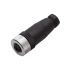 ifm electronic 1 Pole M12 Socket Adapter