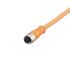 ifm electronic Straight Female 1 way M12 to Unterminated Actuator/Sensor Cable, 70m