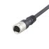 ifm electronic Straight Female 1 way M16 to Unterminated Actuator/Sensor Cable, 10m