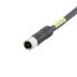 ifm electronic, Power, 2m 4 Core, Black Polyurethane PUR Power Cable