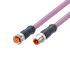 ifm electronic Straight Male 5 way M12 to Straight Female 5 way M12 Communication Cable, 200mm