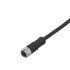 ifm electronic Straight Female 1 way M12 to Unterminated Actuator/Sensor Cable, 5m