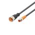 ifm electronic Straight Male 3 way M8 to Straight Female 5 way M12 Communication Cable, 300mm