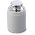 Ohaus 100g Calibration Weight