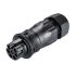 Wieland RST CLASSIC Series Connector, 7-Pole, Male, 7-Way, Push-In, 20A, IP66, IP68, IP69