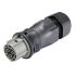 Wieland RST CLASSIC Series Connector, 3-Pole, Female, 3-Way, Push-In, 25A, IP66, IP68