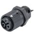 Wieland RST MINI Series Connector, 2-Pole, Female, 2-Way, Push-In, 16A, IP66, IP68, IP69