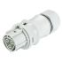 Wieland RST CLASSIC Series Connector, 3-Pole, Female, 3-Way, Push-In, 20A, IP66, IP68, IP69