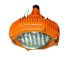 Nightsearcher Floodlight Hazardous Area Light, Hazardous Area Lights, Pendant, 277 V Pendant, ATEX