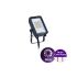 Philips Lighting BVP167 Floodlight, 20 W, 2200 → 2400 lm, IP65, 220 → 240 V