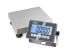 Kern IXC 6K-4 Weighing Scale Weighing Scale, 6kg Weight Capacity