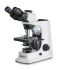 Kern OBL 156 Microscope, 4 X, 10 X, 40 X, 100 X Magnification