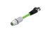 CONEC Circular Connector, 4 Contacts, Panel Mount, M12 Connector, Plug, Male, IP67, 43 Series