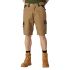 Dickies Everyday Short Antique/Black 40"