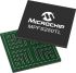 Microchip FPGA MPFS250TL-FCVG784E, MSS 254000 Cells, 64bit, 784-Pin BGA