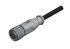 CONEC Right Angle Female 4 way M12 to Unterminated Cable, 2m