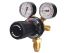 GCE Pressure Regulator for use with FG300