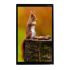 Midas MDT0700AC-USBC IPS TFT TFT LCD Display / Touch Screen, 7in, 1920 X 1200pixels