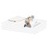NEOFEU with Fall Arrestor, Harness, Transport Bag, Webbling Sling