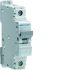 Hager NEN MCB, 1P, 40A, 230V AC, 10 Breaking Capacity
