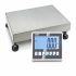 Kern IFC 300K-2 Platform Weighing Scale, 300 Weight Capacity