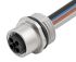 Murrelektronik Limited Straight Female 4 way M12 to Unterminated Power Cable, 1m