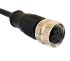 Bulgin M12 Straight Female M12 to Free End Sensor Actuator Cable, 5 Core, PUR, 1m