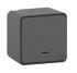 Grey 10 A Surface Mount Rocker Light Switch, 2 Way Screwless, 1 Gang NF, 250 V ac 64mm IP55 64mm 1