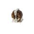 KEMET 80 μH Iron Common Mode Choke, 2A Idc, 72mΩ Rdc, SN