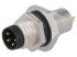 Amphenol Industrial Circular Connector, 4 Contacts, Panel Mount, M8 Connector, Plug, Male, IP67, M Series