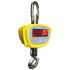 Adam Equipment Co Ltd Crane Scale, 500kg Weight Capacity PreCal