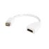 StarTech.com Video Adapter for use with Macbooks and iMacs – M/F